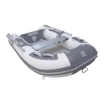Zodiac 2026 CADET 310 AERO - Image 2