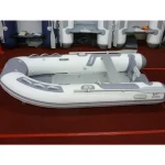 Zodiac 2026 CADET 310 ALU - Image 4
